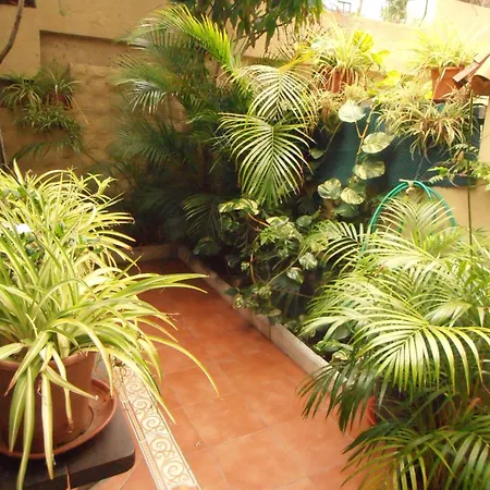 Oasis Garden