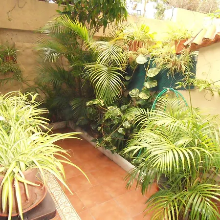Oasis Garden Appartamento *